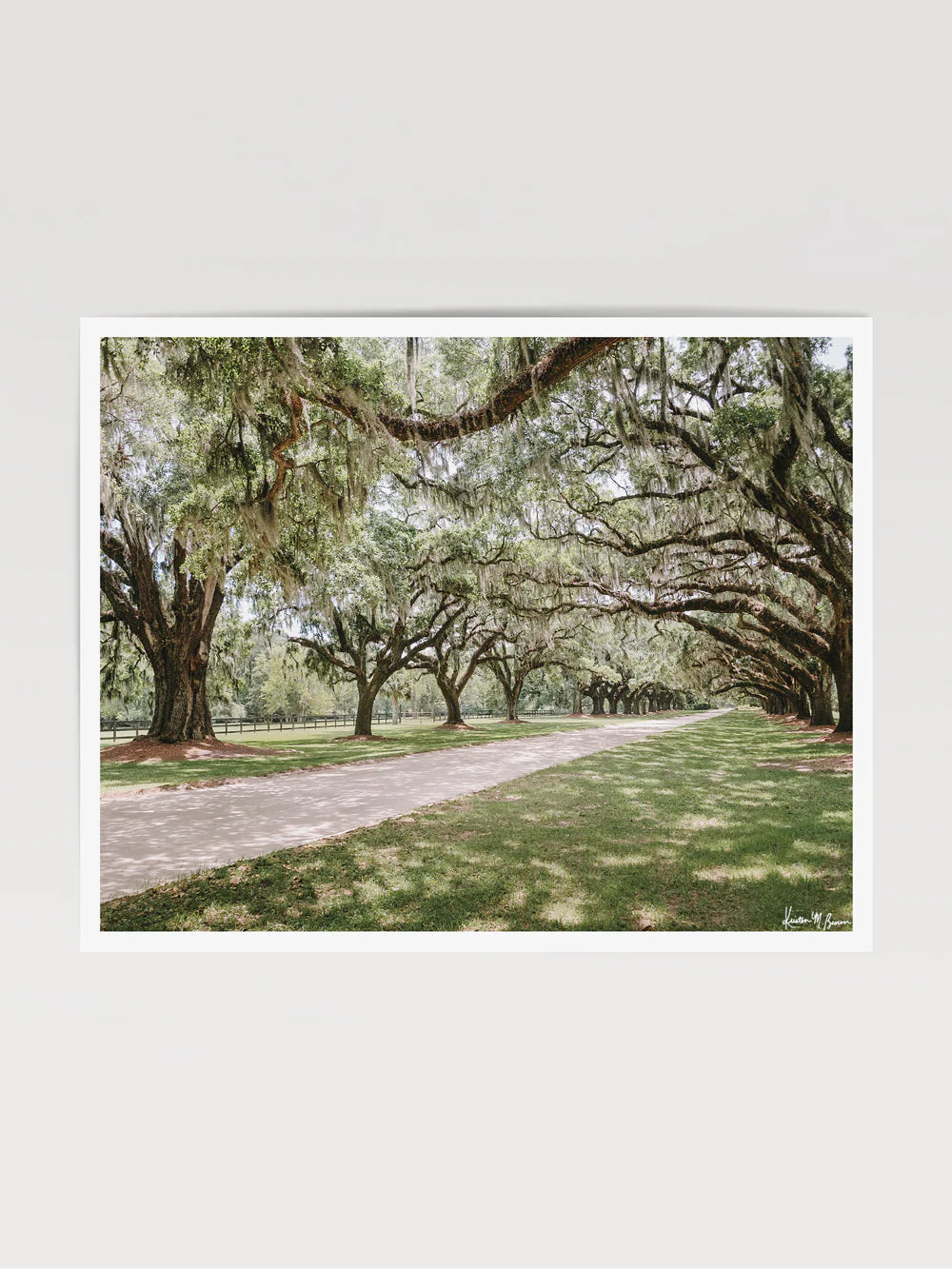 11x14 Oak Avenue