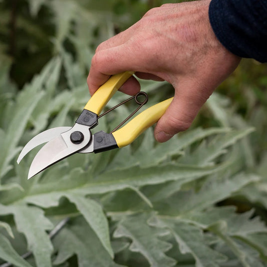 Mainichi Secateurs