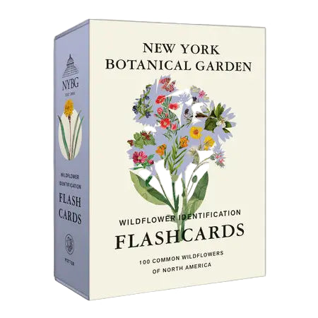 NY Wildflower Flashcards