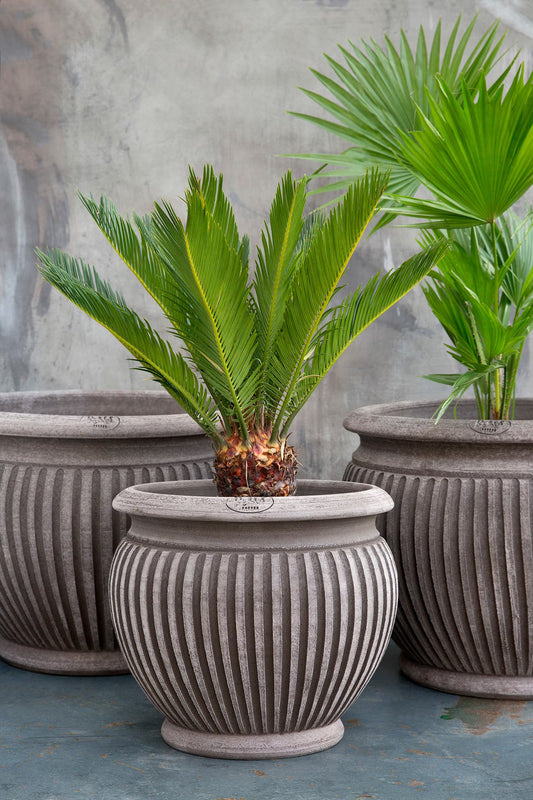 Piccolina Raw Pot