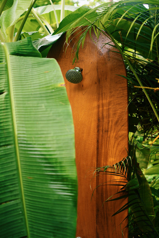 Costa Rica Shower 11x14, unframed