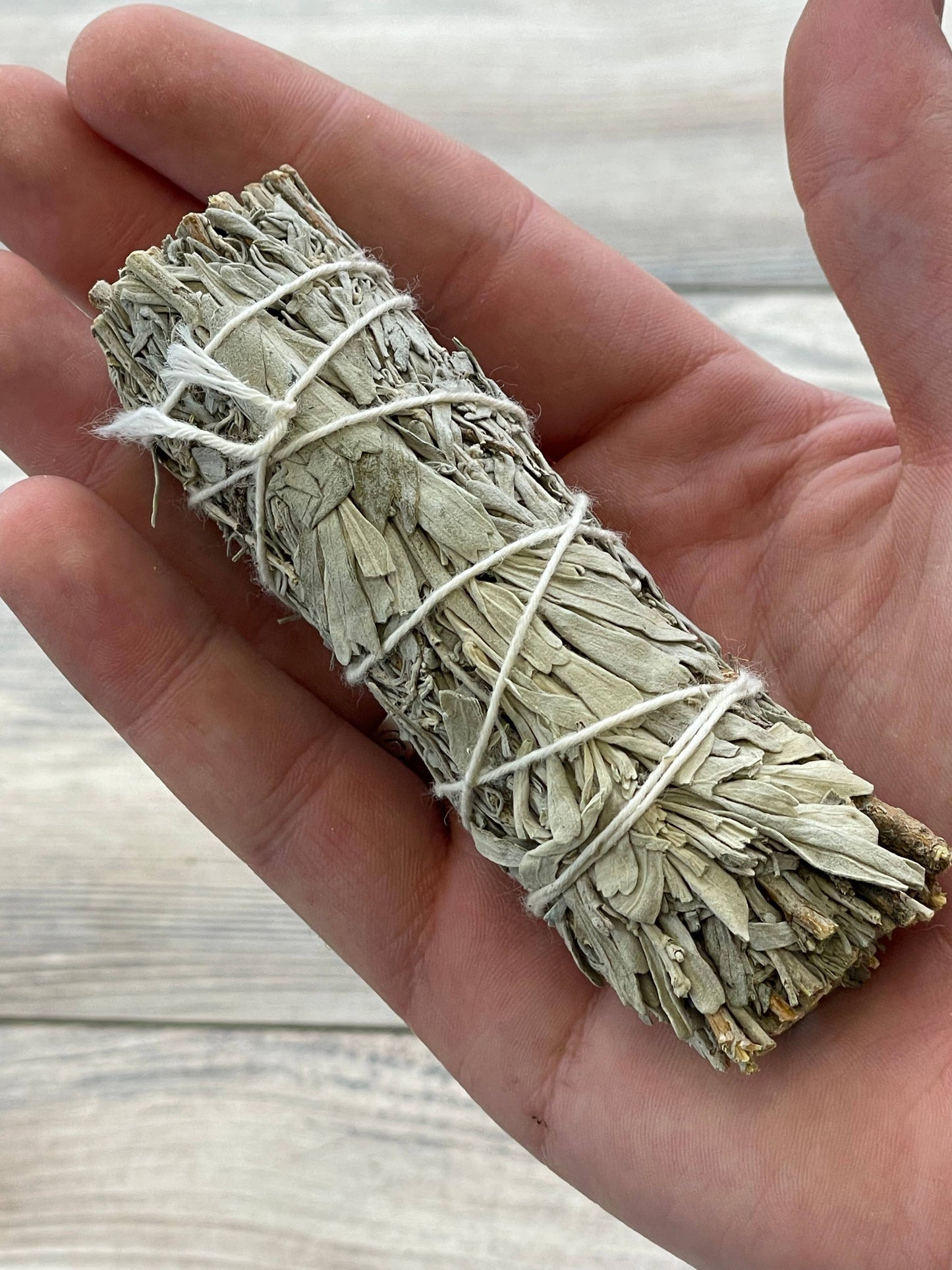 Blue Sage