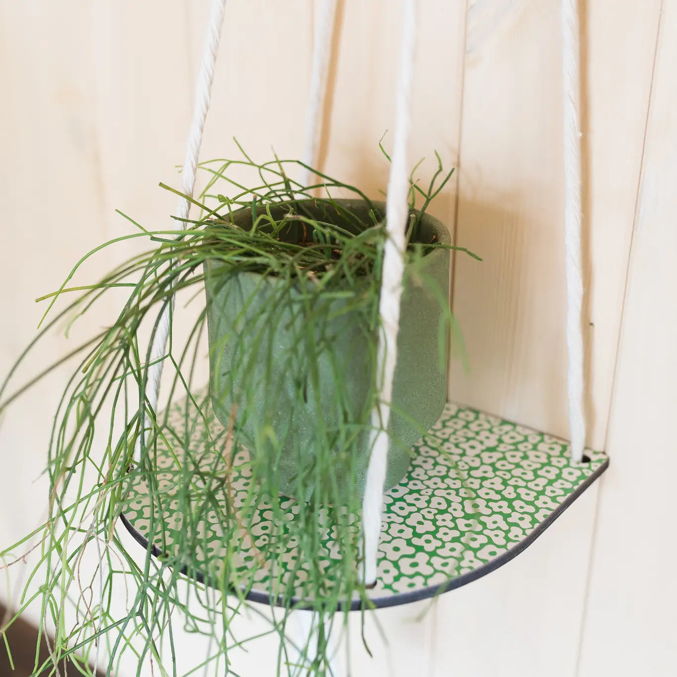Hanging Plant Shelf