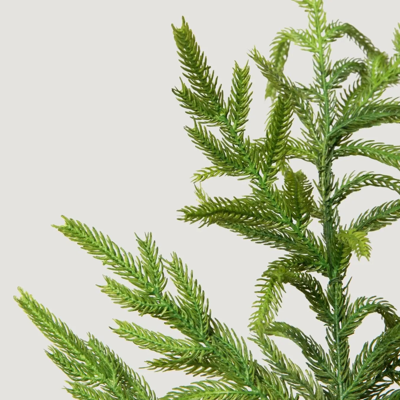 Real Touch Norfolk Pine Branch - 36"