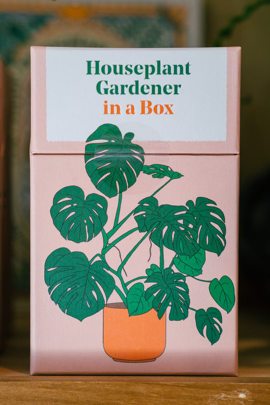 Houseplant Gardener