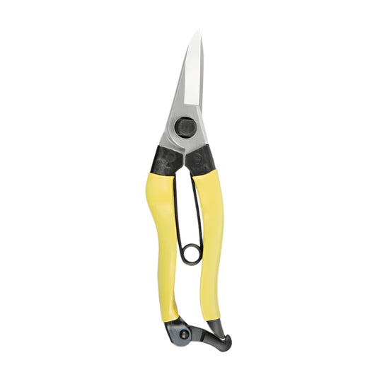 Mainichi Snips
