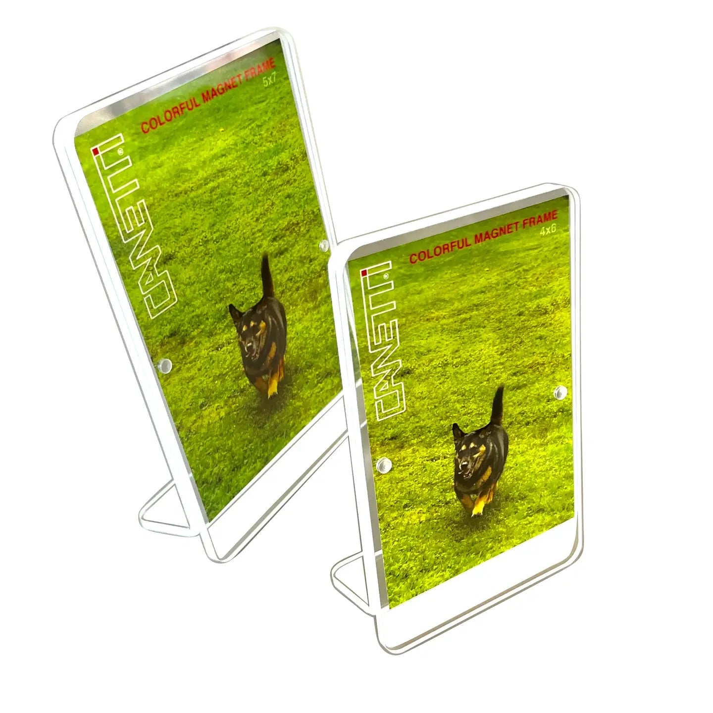 Colorful Magnet Frame 4x6