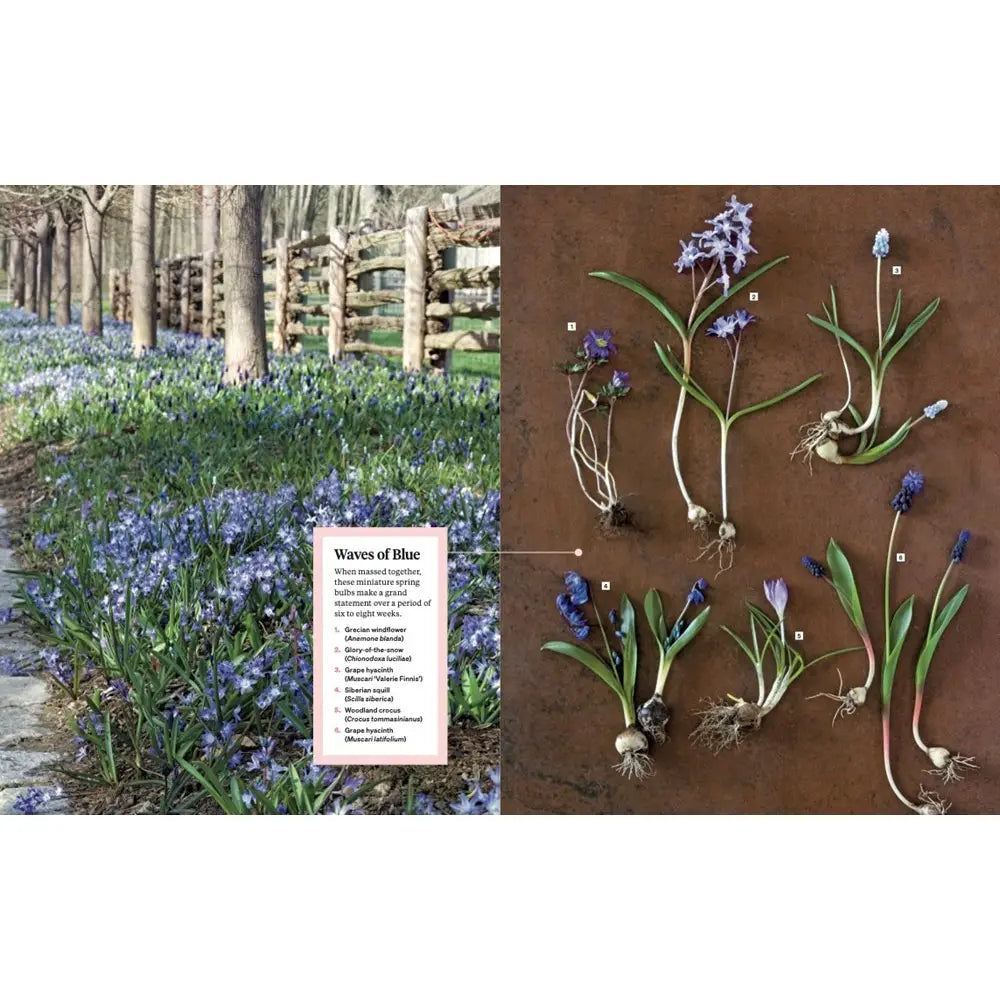 Martha Stewart's Gardening Handbook