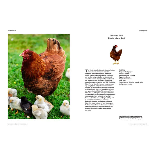 Backyard Chicken Keeper's Bible