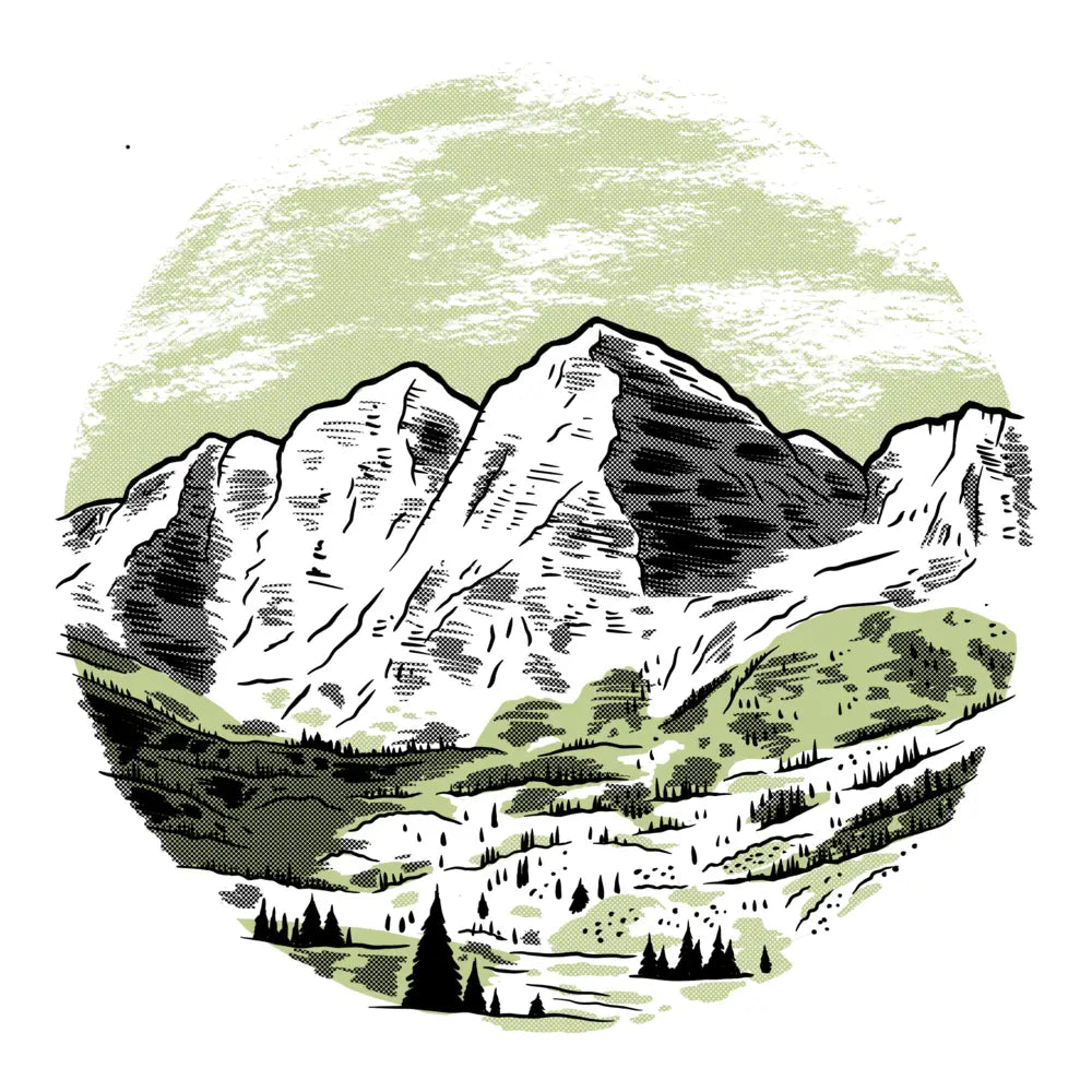 Colorado Rockies Field Guide Book