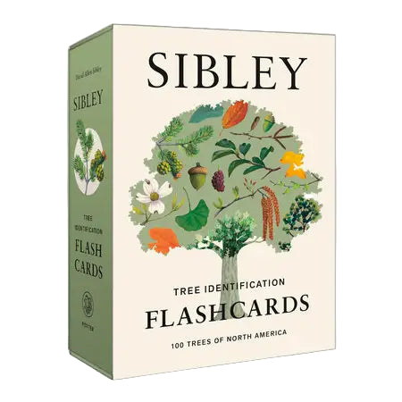 Sibley Tree Identification Flashcards