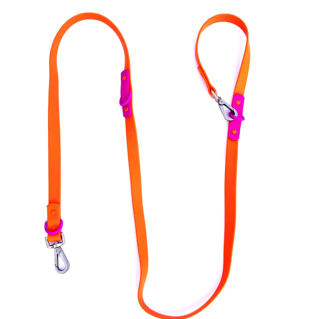 Fritz Leash