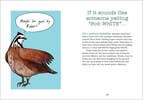 Bird Talk