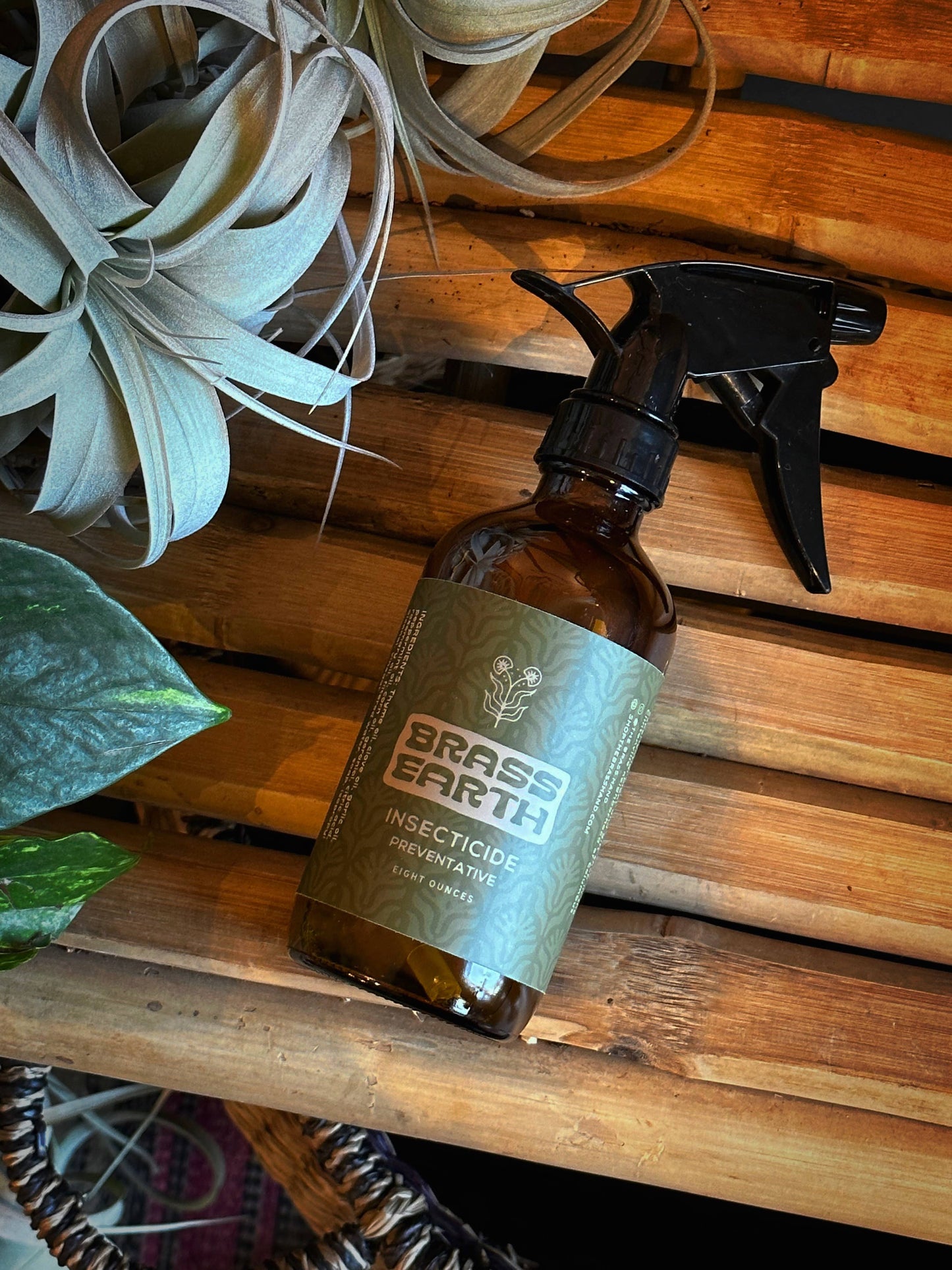 Natural Houseplant Insecticide