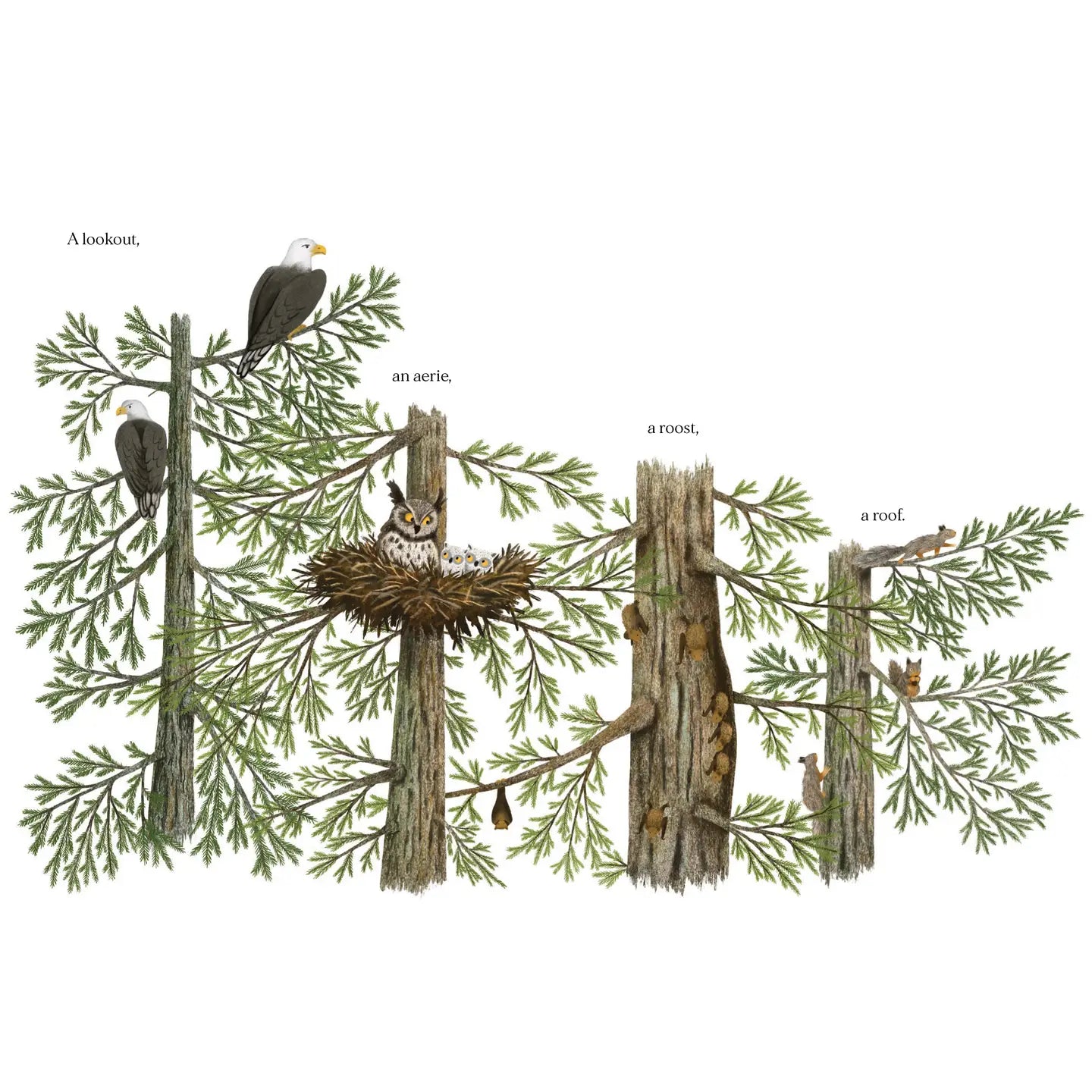 When a Tree Falls