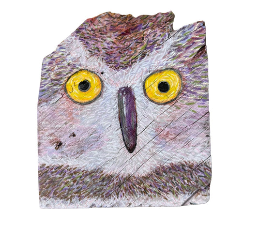 Owl #5