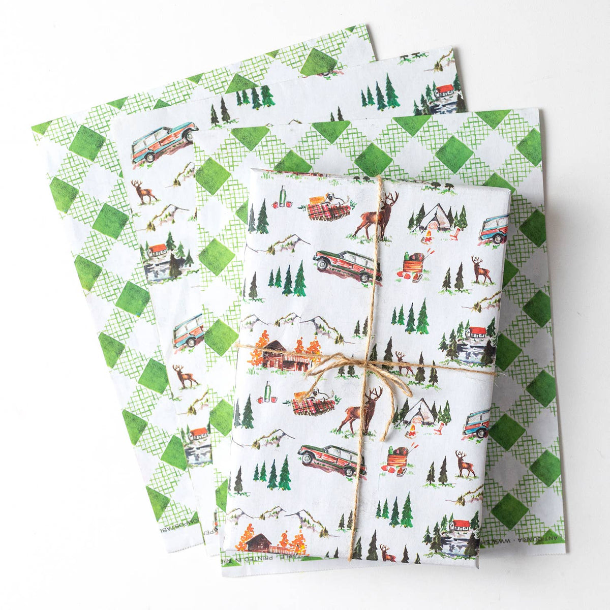 Mountain Cabin Eco Gift Wrap