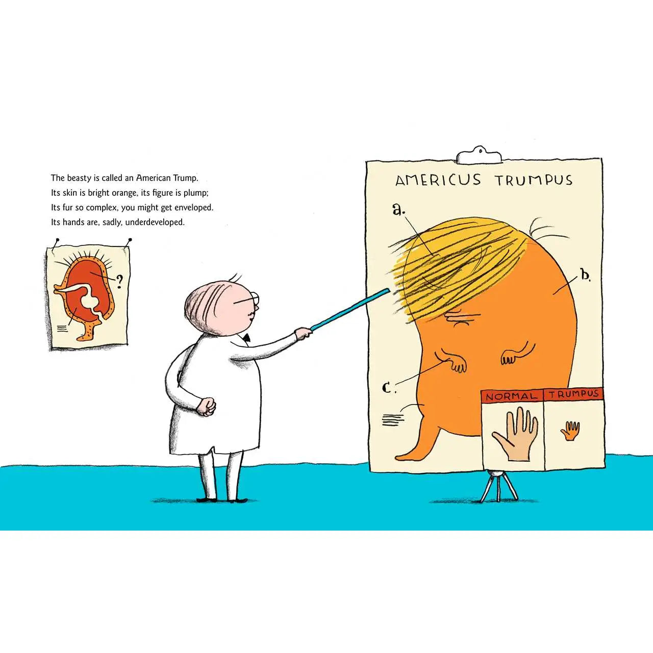 Child's First Book of Trump