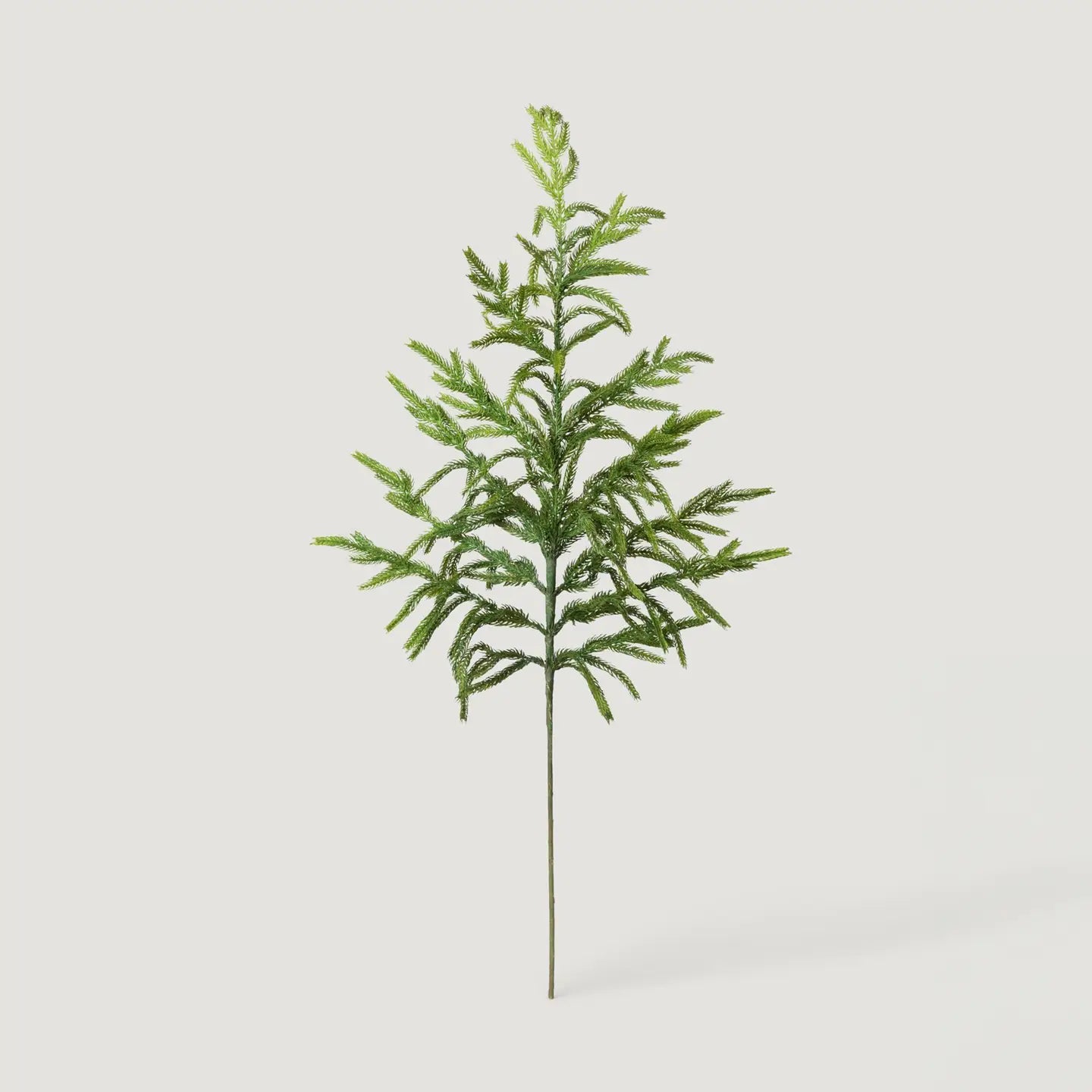 Real Touch Norfolk Pine Branch - 36"