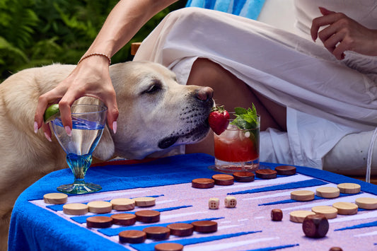 The Nantucket Beach Board - Backgammon