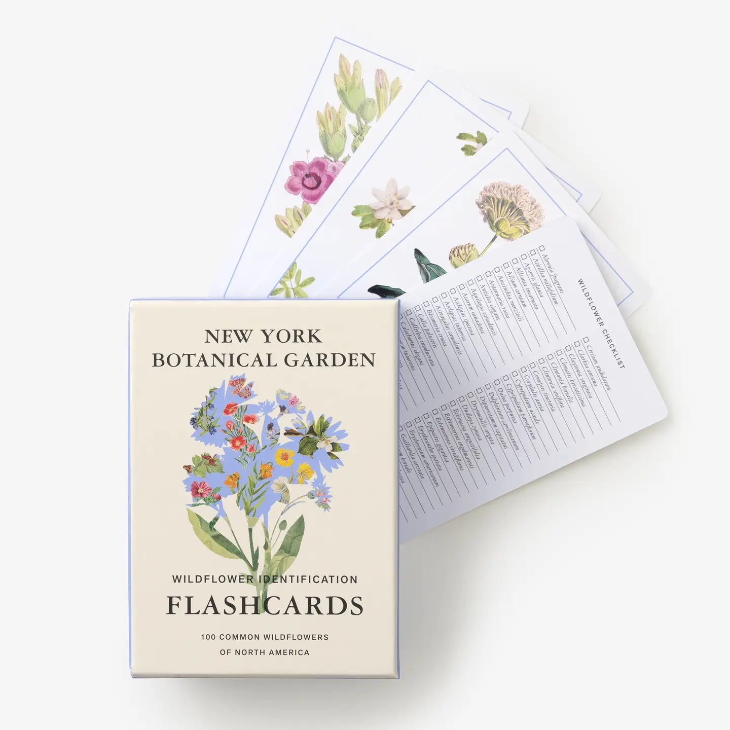 NY Wildflower Flashcards