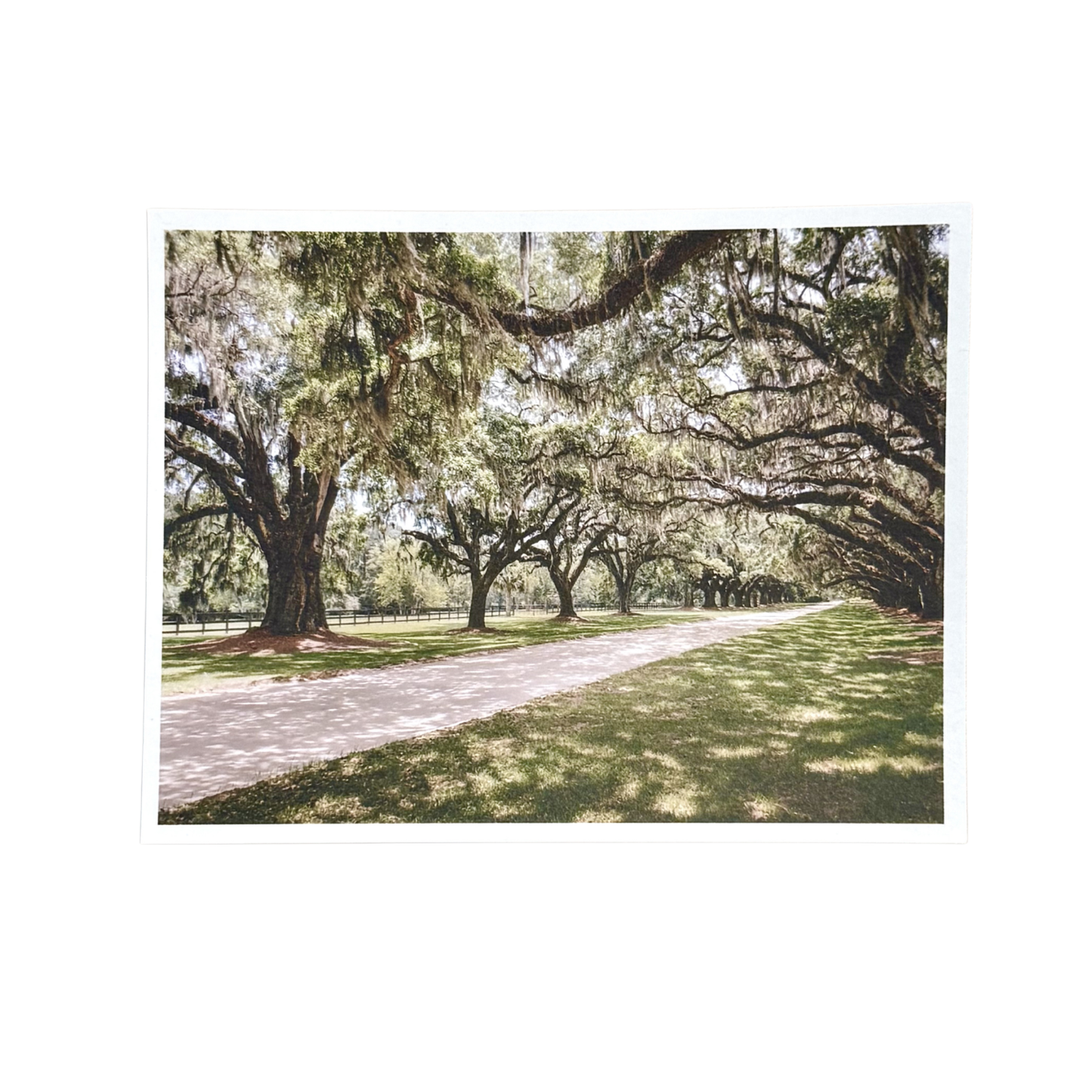 Charleston Postcards
