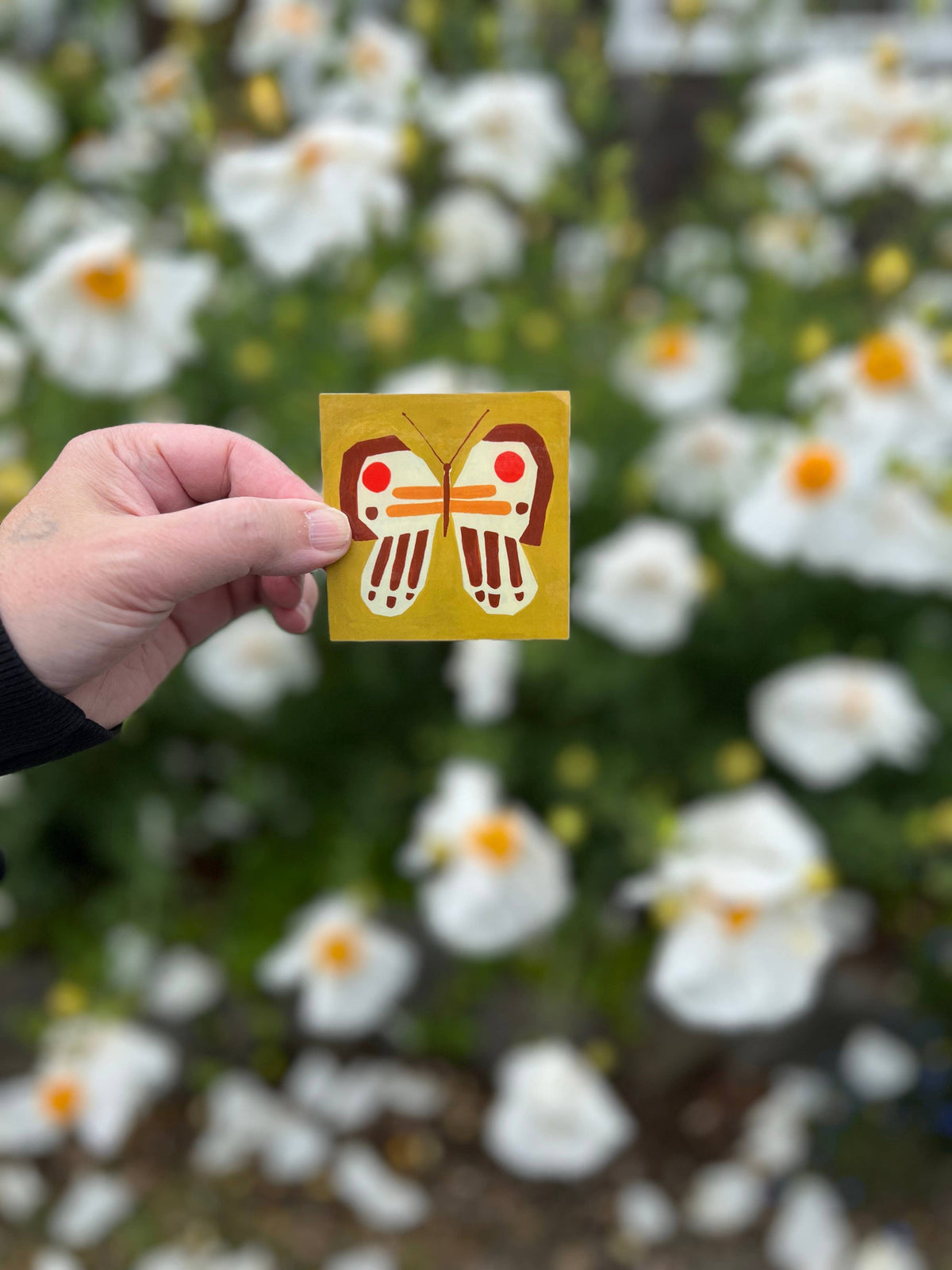 Butterfly Sticker