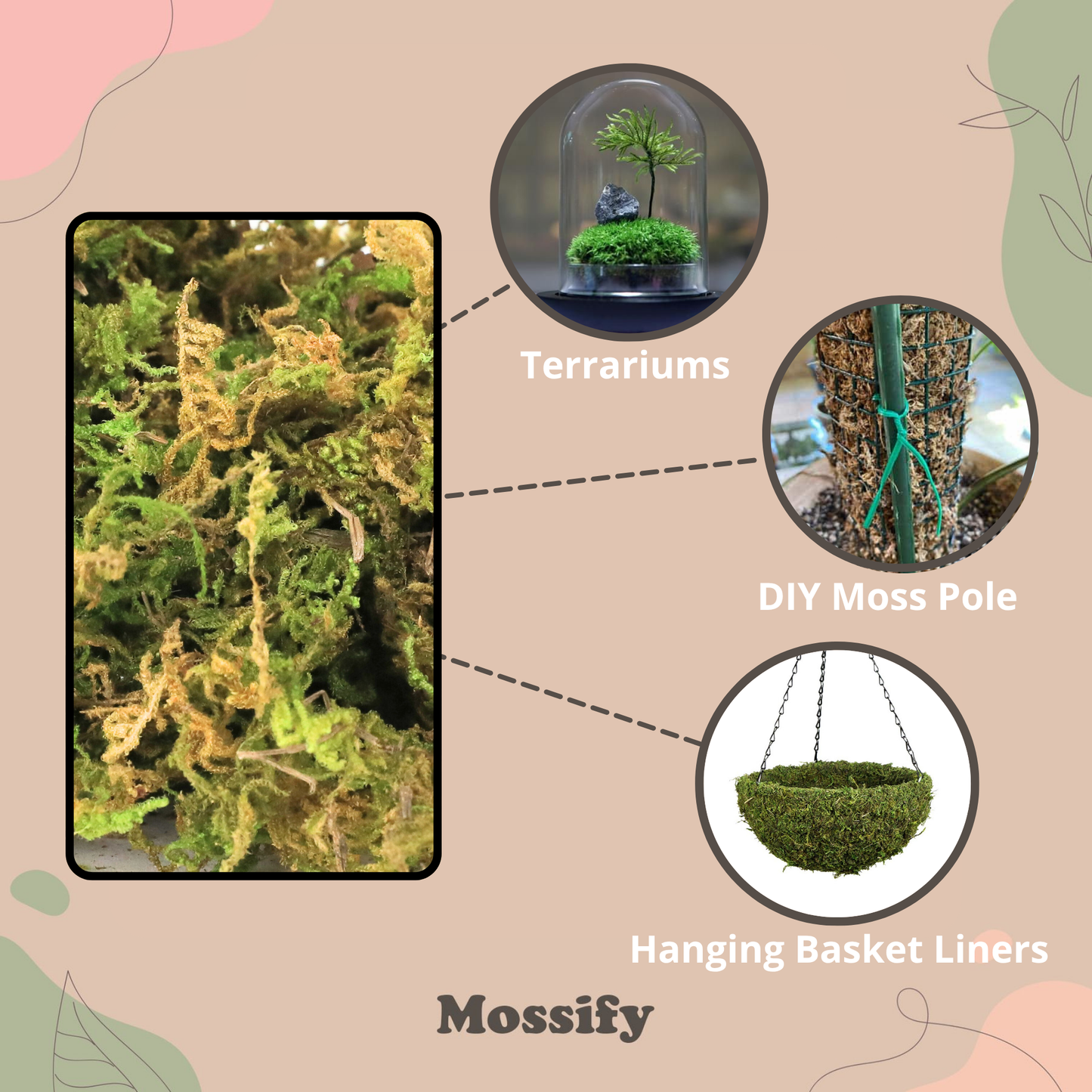 Natural Forest Moss