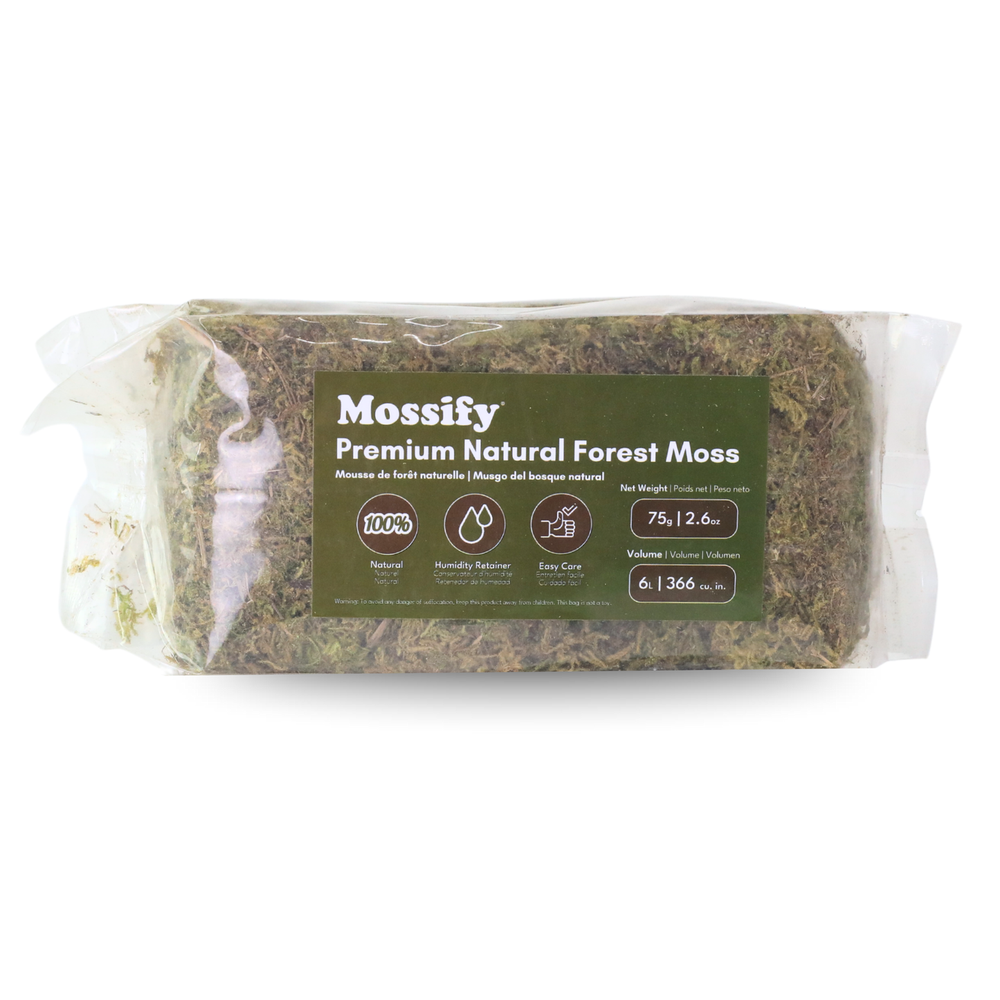 Natural Forest Moss