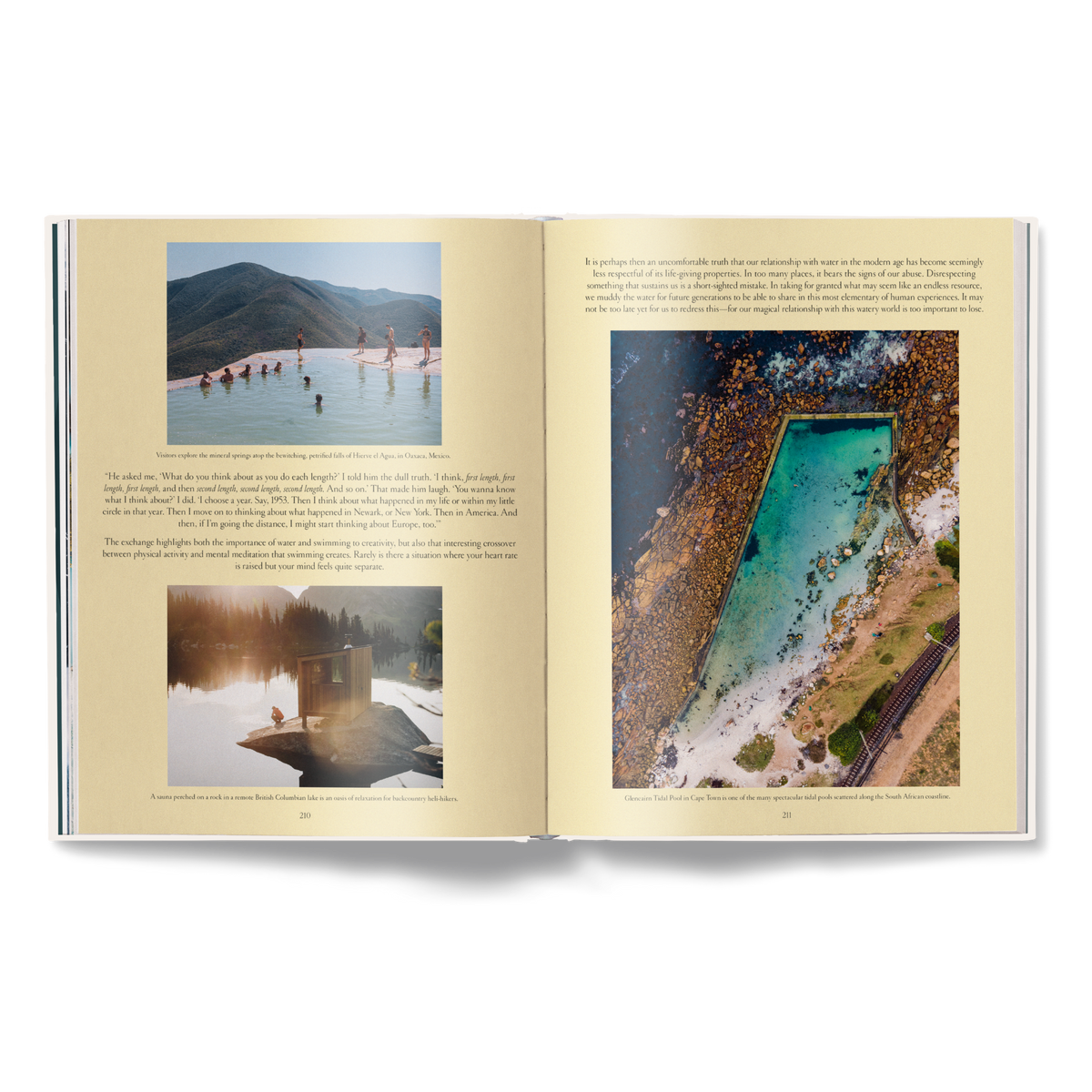 The Nature of Swimming