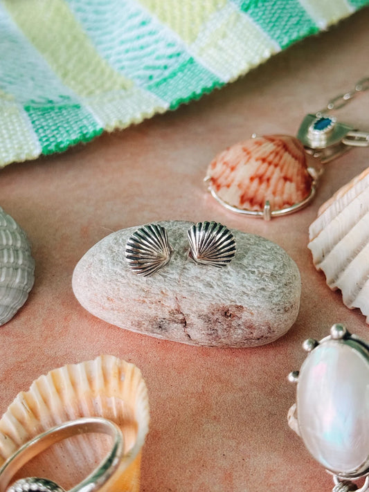 Clam Shell Studs