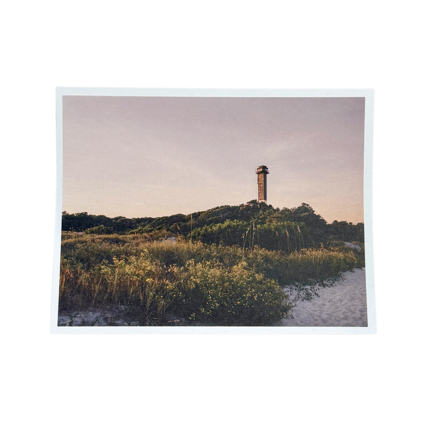 Charleston Postcards