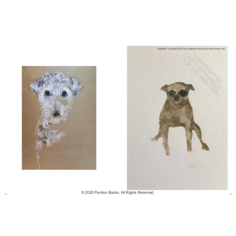 Old Dogs