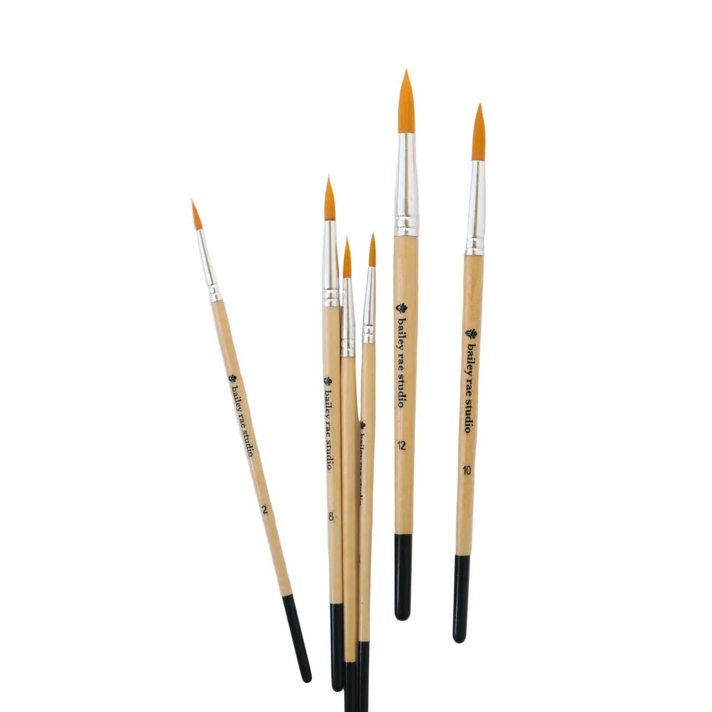 Round Watercolor Brush Set