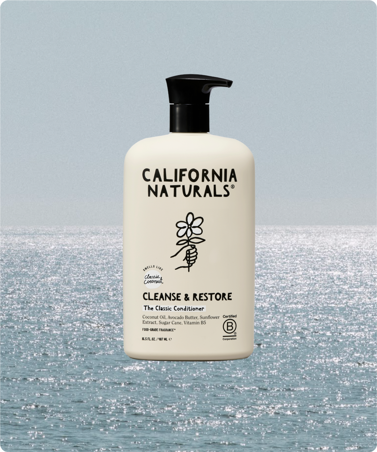 Coconut Conditioner