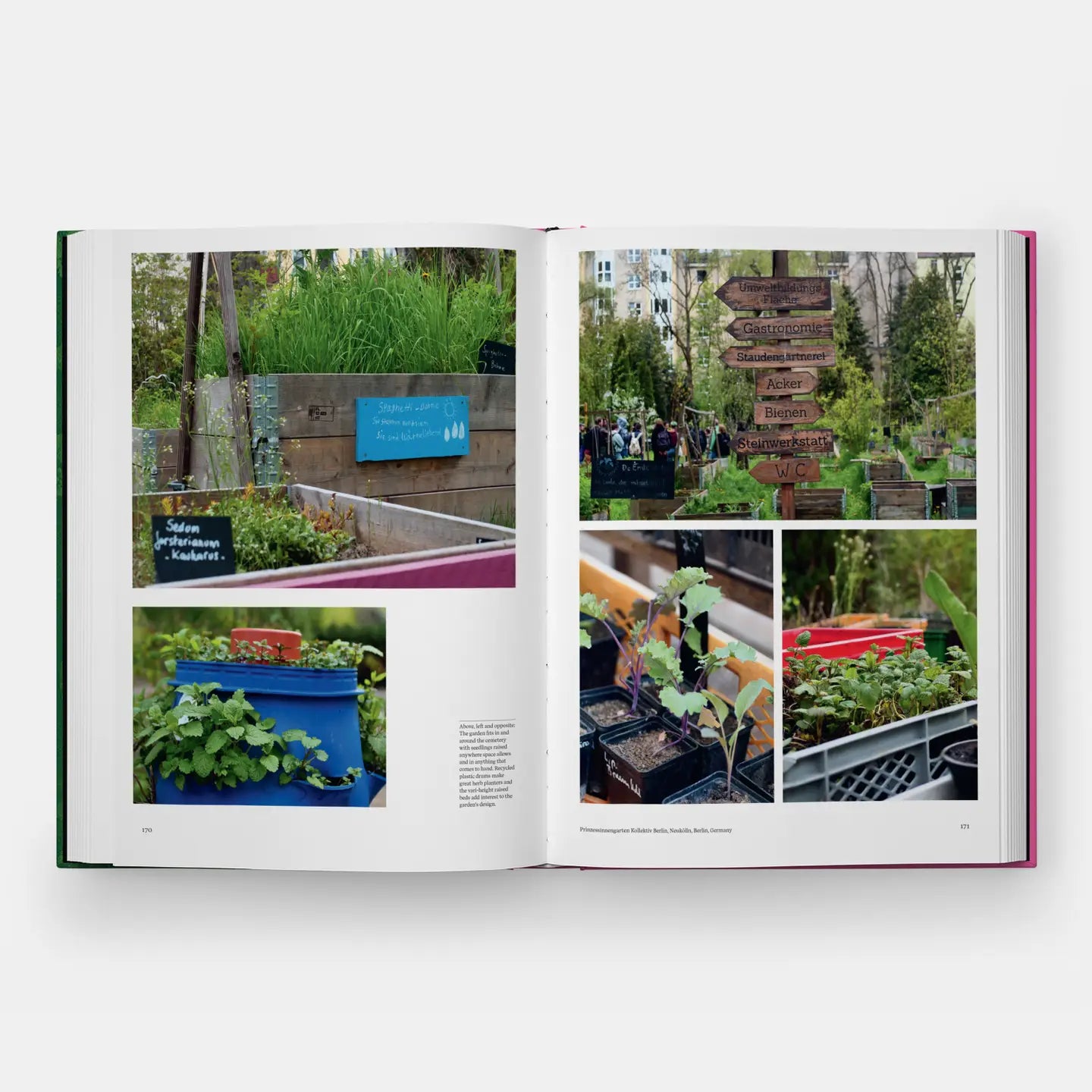 The Kitchen Garden