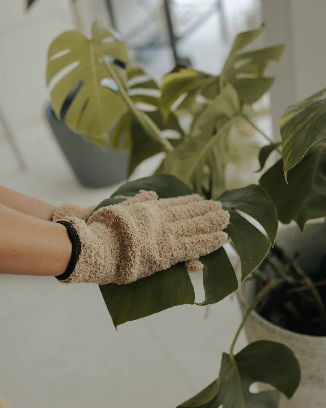 Plant Care Gloves