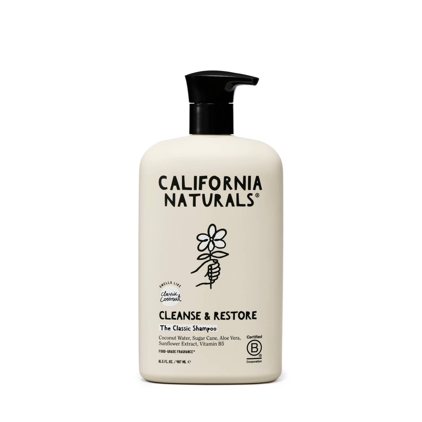 Coconut Shampoo