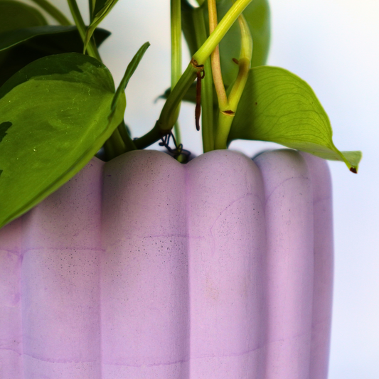 4.5" Scallop Planter