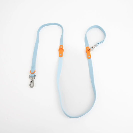 Fritz Leash