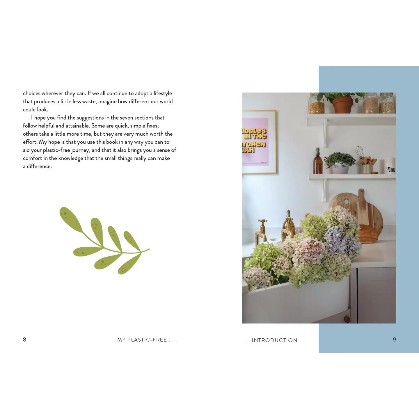 My Plastic-Free Home