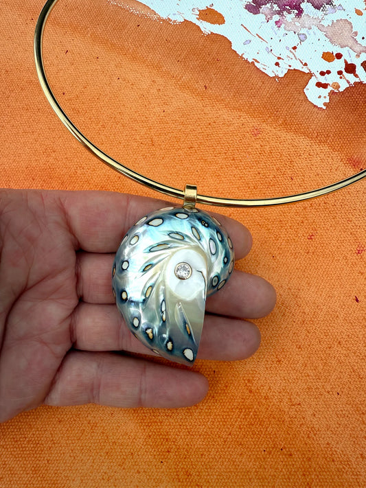 Nautilus Shell Pendant & Collar
