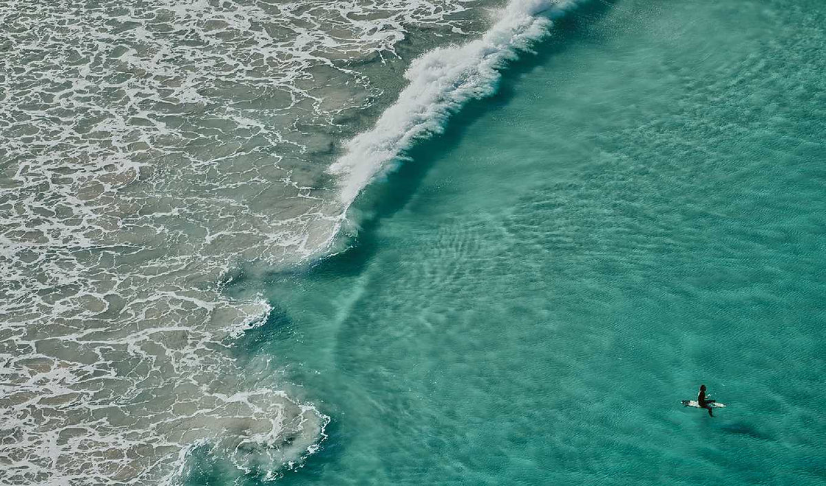Life Around the Sea