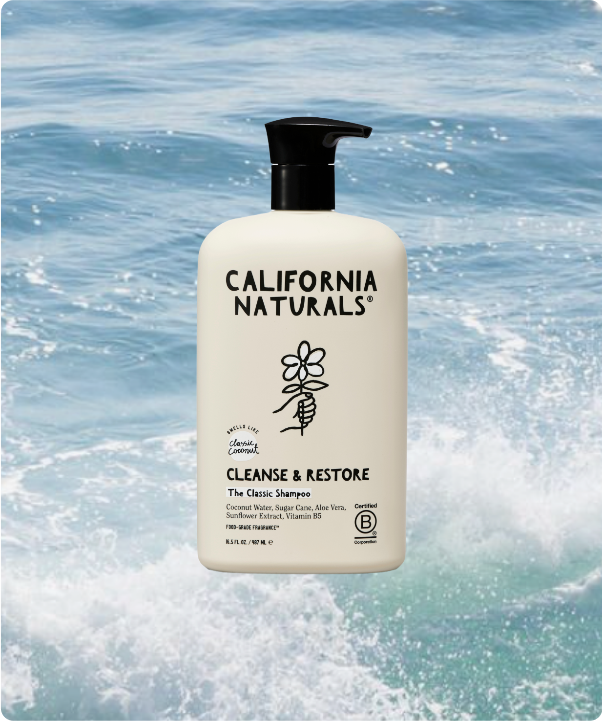 Coconut Shampoo