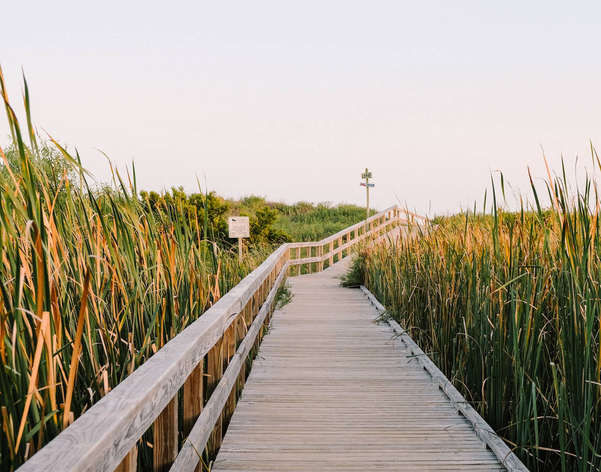 Sullivan's Island Boardwalk 8x10 Print