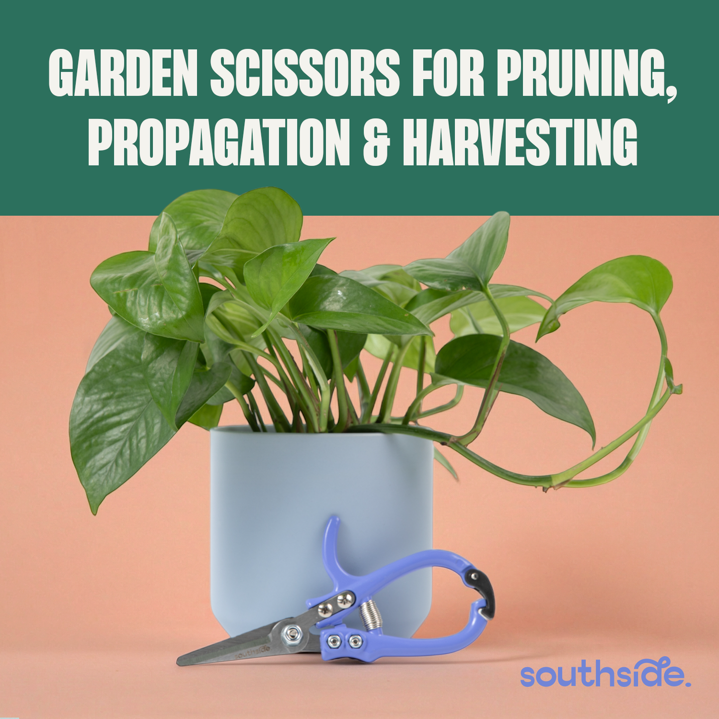 Southside Garden Scissors