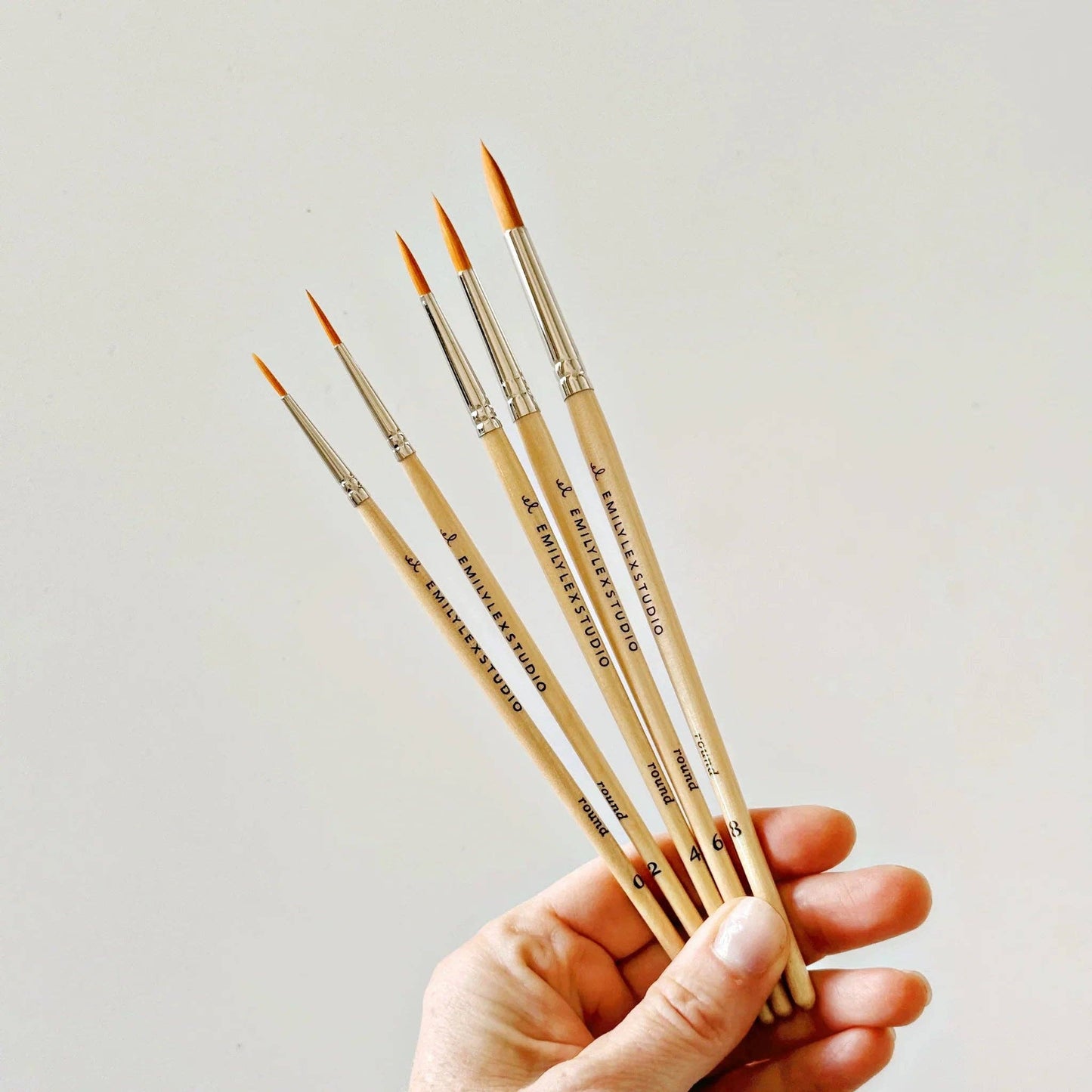 Watercolor Paintbrush Set/5