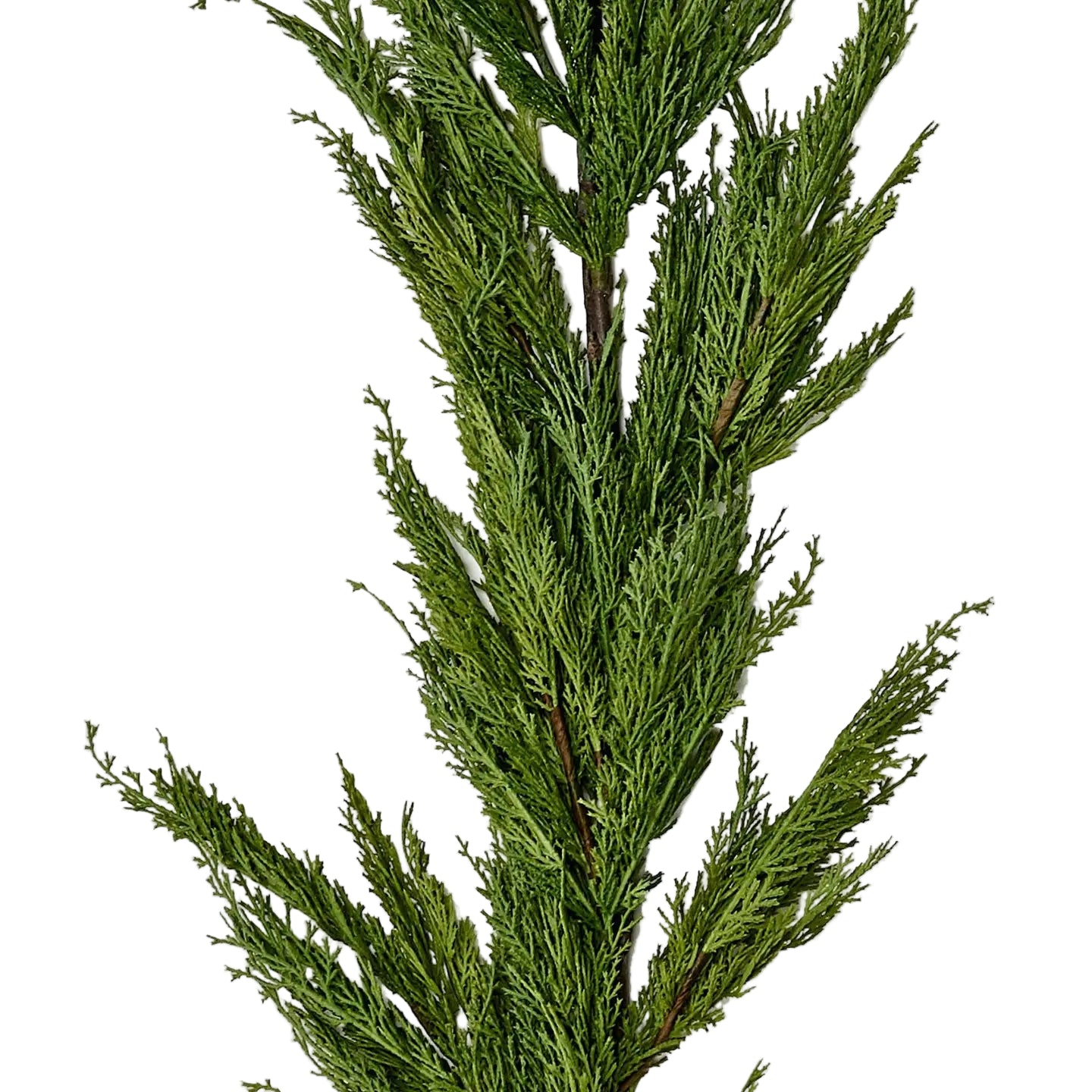 Cedar Garland, 6'