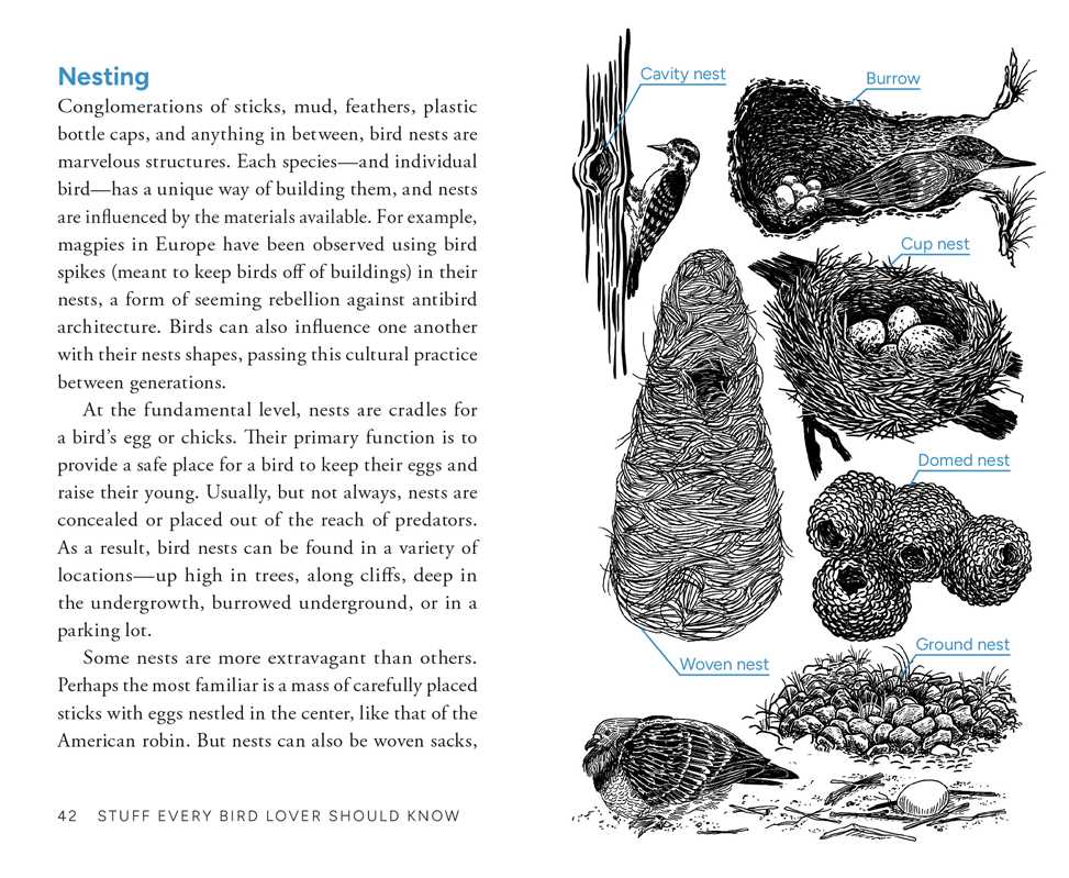 Stuff Every Bird Lover Should Know
