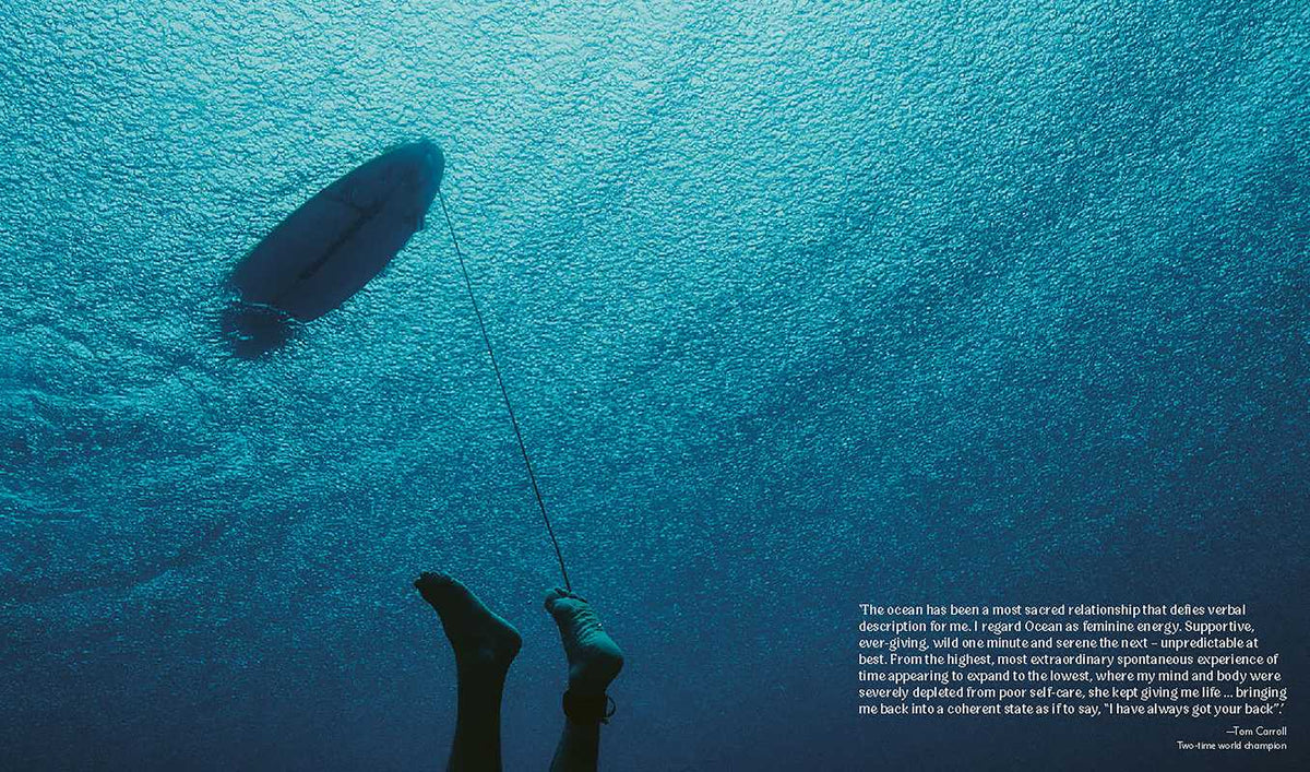 Life Around the Sea